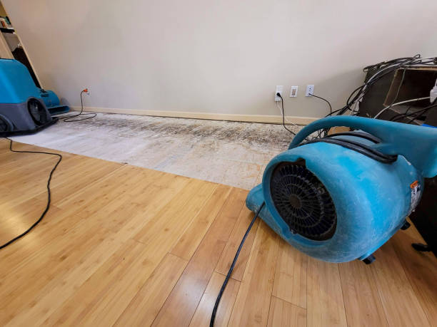 Professional Water Removal technician working in Longwood, FL